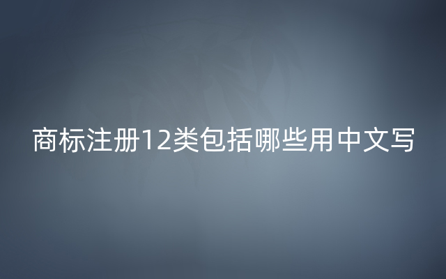 商标注册12类包括哪些用中文写