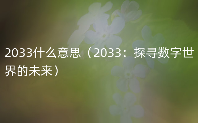 2033什么意思（2033：探寻数字世界的未来）