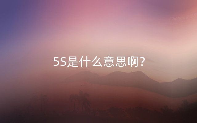 5S是什么意思啊？