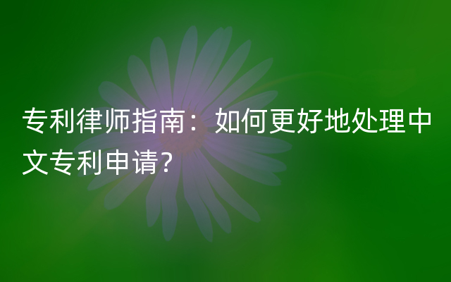 专利律师指南：如何更好地处理中文专利申请？