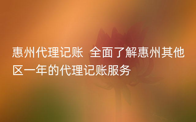 惠州代理记账  全面了解惠州其他区一年的代理记账服务
