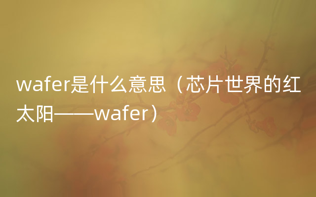 wafer是什么意思（芯片世界的红太阳——wafer）