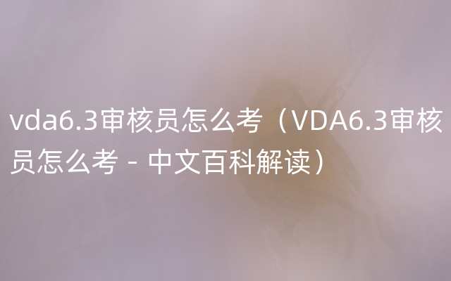 vda6.3审核员怎么考（VDA6.3审核员怎么考 - 中文百科解读）