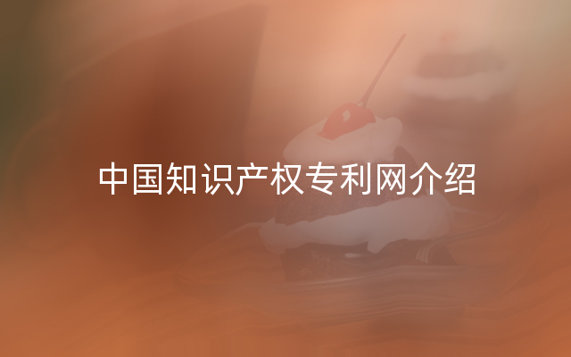 中国知识产权专利网介绍