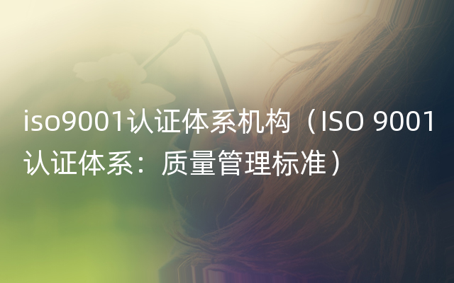 iso9001认证体系机构（ISO 9001认证体系：质量管理标准）