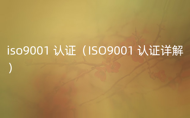 iso9001 认证（ISO9001 认证详解）