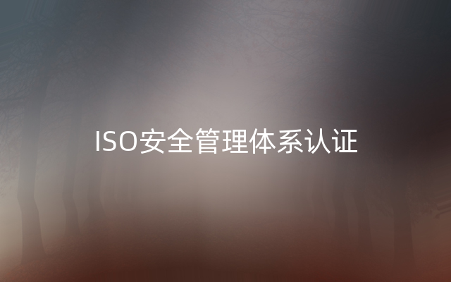 ISO安全管理体系认证