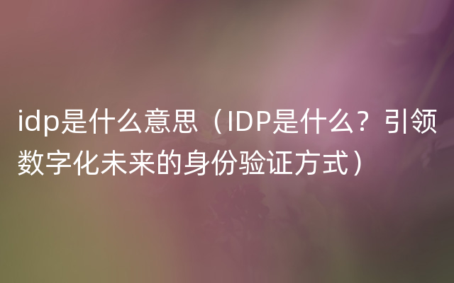 idp是什么意思（IDP是什么？引领数字化未来的身份验证方式）