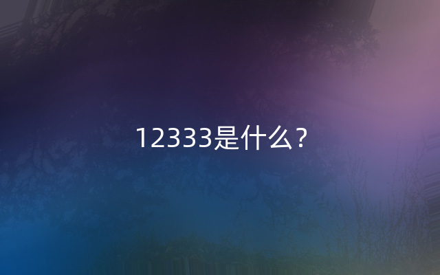 12333是什么？