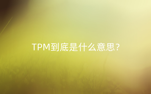 TPM到底是什么意思？