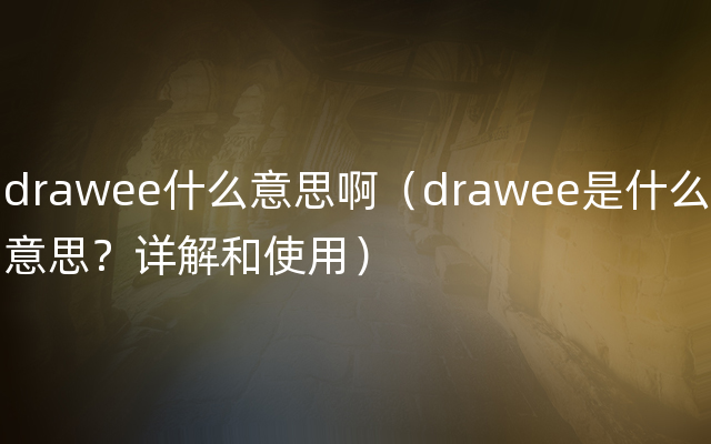 drawee什么意思啊（drawee是什么意思？详解和使用）
