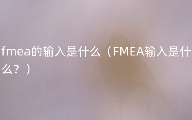 fmea的输入是什么（FMEA输入是什么？）