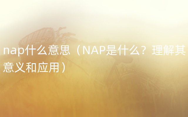 nap什么意思（NAP是什么？理解其意义和应用）