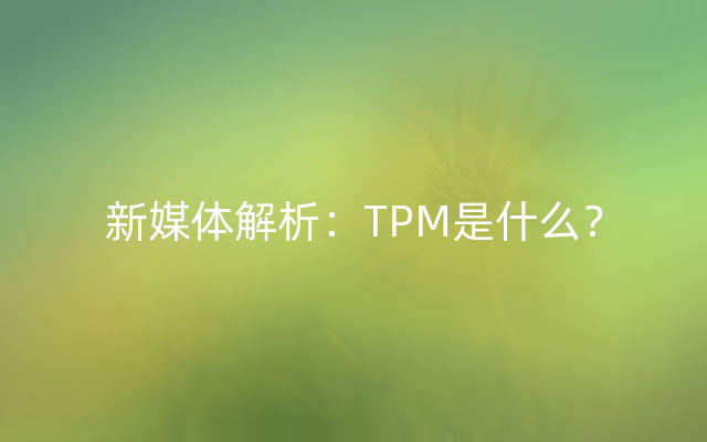 新媒体解析：TPM是什么？
