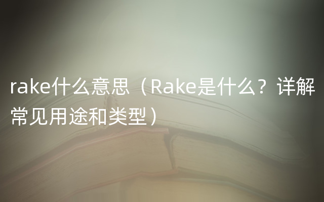 rake什么意思（Rake是什么？详解常见用途和类型）