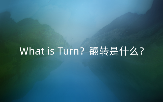 What is Turn？翻转是什么？