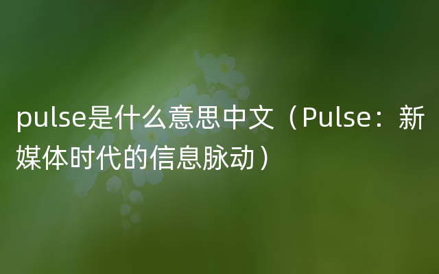 pulse是什么意思中文（Pulse：新媒体时代的信息脉动）