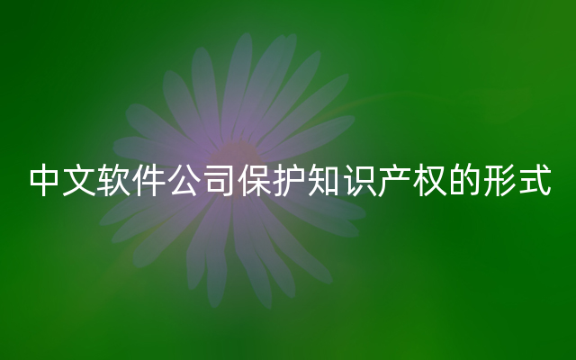 中文软件公司保护知识产权的形式