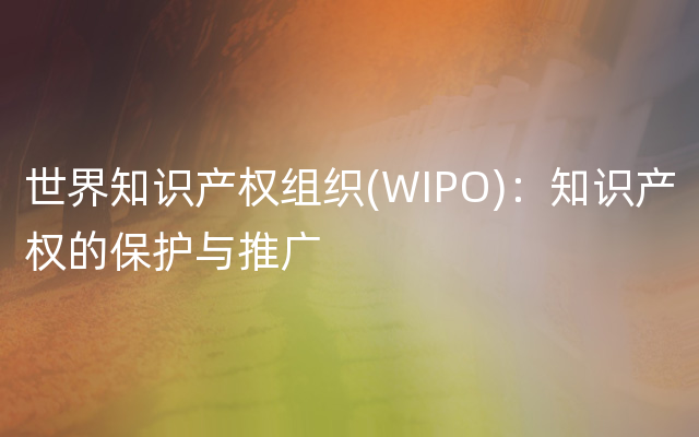 世界知识产权组织(WIPO)：知识产权的保护与推广