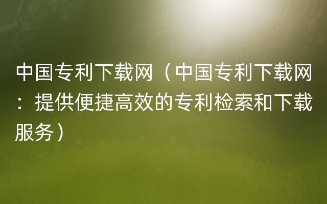 中国专利下载网（中国专利下载网：提供便捷高效的专利检索和下载服务）