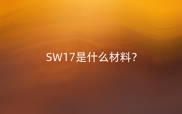 SW17是什么材料？