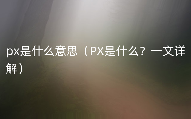 px是什么意思（PX是什么？一文详解）