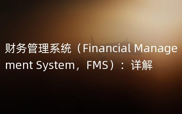 财务管理系统（Financial Management System，FMS）：详解