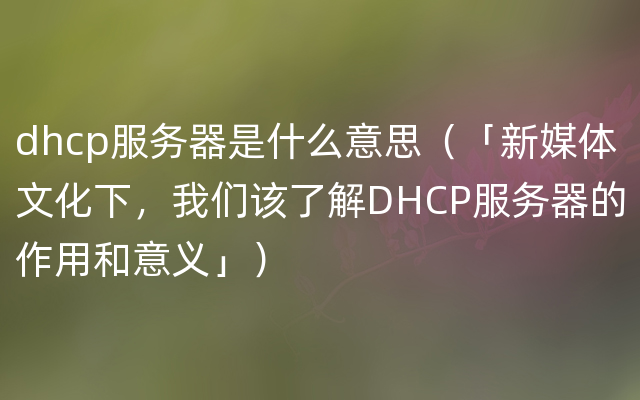 dhcp服务器是什么意思（「新媒体文化下，我们该了解DHCP服务器的作用和意义」）