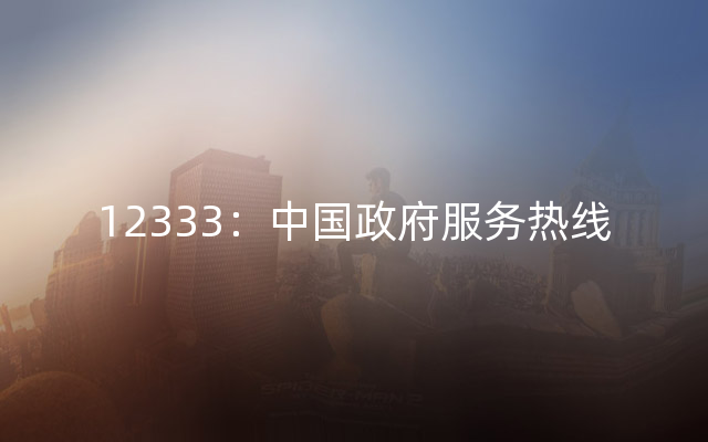 12333：中国政府服务热线