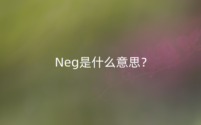 Neg是什么意思？