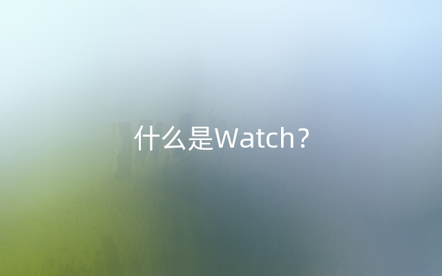 什么是Watch？