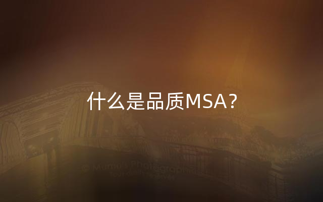 什么是品质MSA？