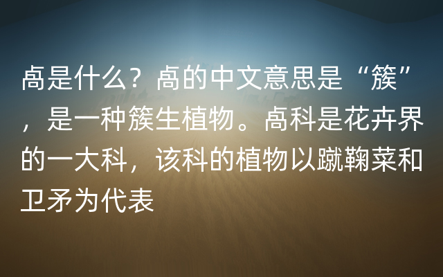 卨是什么？卨的中文意思是“簇”，是一种簇生植物。卨科是花卉界的一大科，该科的植物以蹴鞠菜和卫矛为代表
