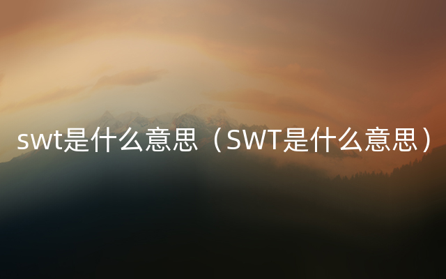 swt是什么意思（SWT是什么意思）