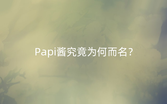 Papi酱究竟为何而名？