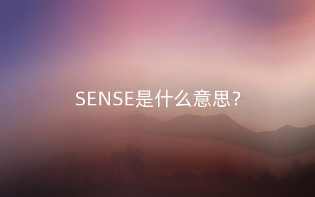 SENSE是什么意思？