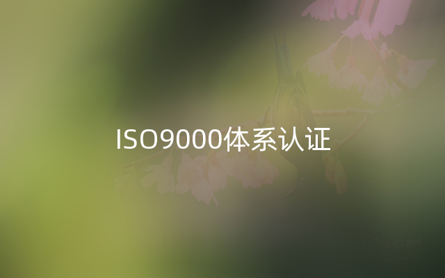 ISO9000体系认证