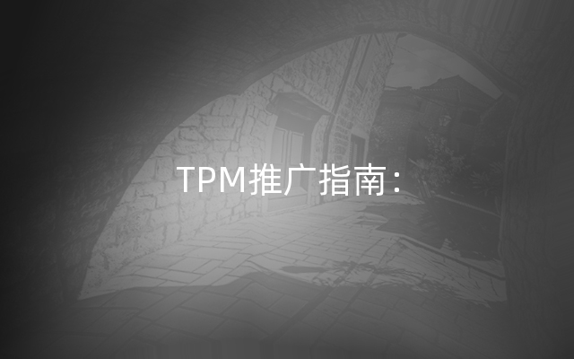 TPM推广指南：