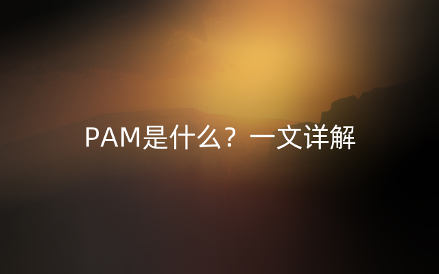 PAM是什么？一文详解
