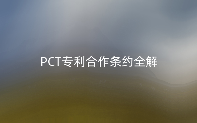 PCT专利合作条约全解
