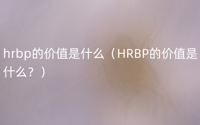 hrbp的价值是什么（HRBP的价值是什么？）