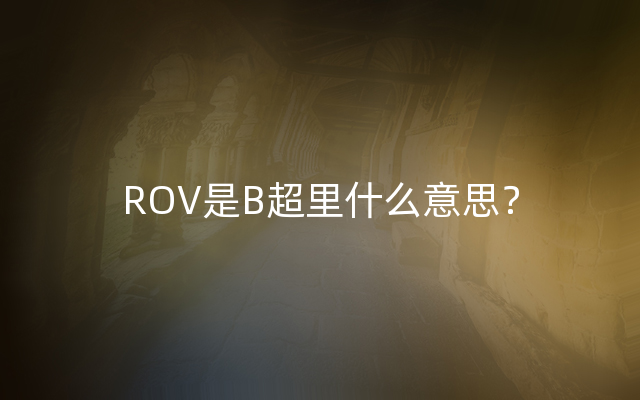 ROV是B超里什么意思？