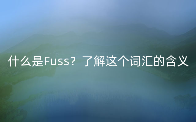 什么是Fuss？了解这个词汇的含义