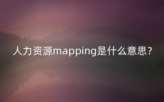 人力资源mapping是什么意思？