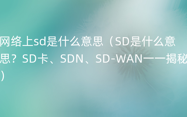 网络上sd是什么意思（SD是什么意思？SD卡、SDN、SD-WAN一一揭秘）