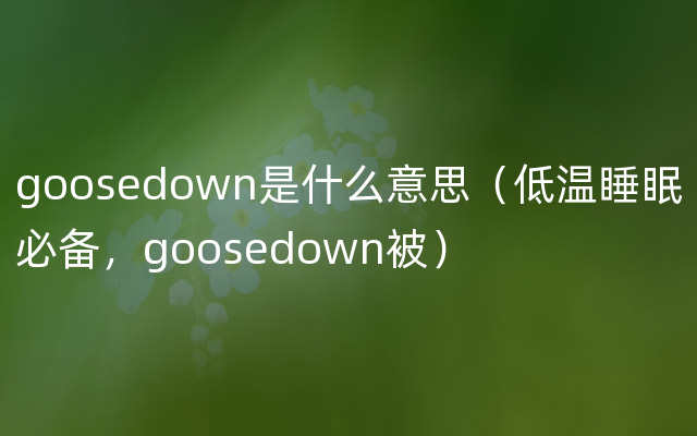 goosedown是什么意思（低温睡眠必备，goosedown被）