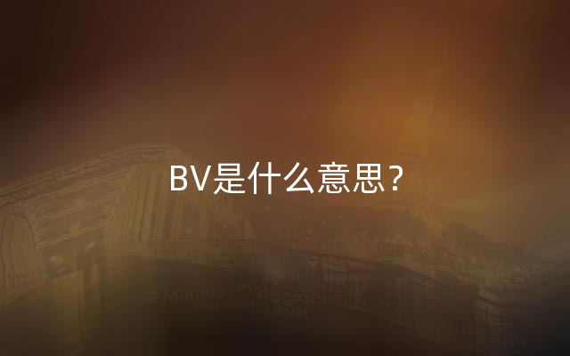 BV是什么意思？