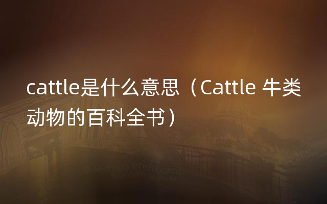 cattle是什么意思（Cattle 牛类动物的百科全书）