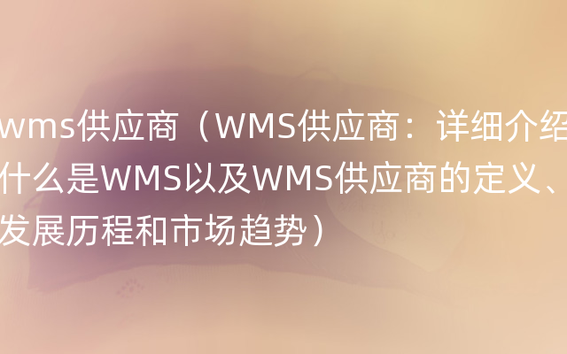 wms供应商（WMS供应商：详细介绍什么是WMS以及WMS供应商的定义、发展历程和市场趋势）