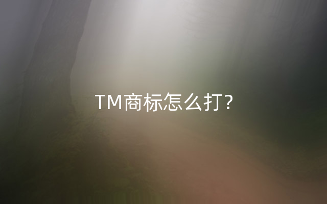 TM商标怎么打？